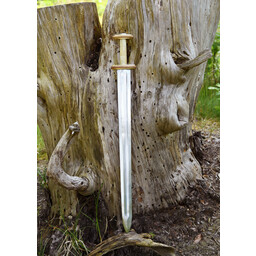 Anglo-Saxon sword Feltwell, 4th-5th century - Celtic Webmerchant
