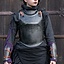 Renegade damrustning, bröstplåt - Celtic Webmerchant