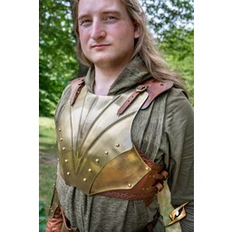 Harnisch Illumine - Celtic Webmerchant