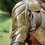 Spallacci Illumine - Celtic Webmerchant
