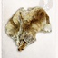 Collare di pelliccia di volpe - Celtic Webmerchant