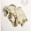Collare di pelliccia di volpe - Celtic Webmerchant