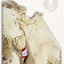 Col en fourrure de renard - Celtic Webmerchant
