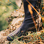 Lado entrelazó Botas altas, marrón oscuro - Celtic Webmerchant