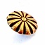 Garnitures de ceinture médaillon médiéval (ensemble de 5 pièces), laiton argenté - Celtic Webmerchant