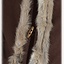 Jarl pels kaftan, brun - Celtic Webmerchant