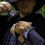 LARP Magische capibara - Celtic Webmerchant