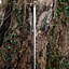Rapier 17th century - Celtic Webmerchant