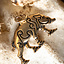Keltischer anhänger Eber Knocknagael Bronze - Celtic Webmerchant