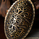 Viking Schildkröten-Brosche Finnland - Celtic Webmerchant