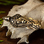 Uccello Fibula Uppåkra - Celtic Webmerchant