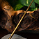 Roman Hairpin Silchester - Celtic Webmerchant