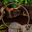 Couple avec spirales celtiques - Celtic Webmerchant