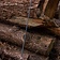 Epic Armoury LARP Arrow, Round Headed, svart-röd - Celtic Webmerchant