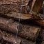 LARP Arrow, tête ronde, noir-rouge - Celtic Webmerchant