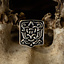 Arabo vichinga cintura di montaggio Birka, argentato - Celtic Webmerchant