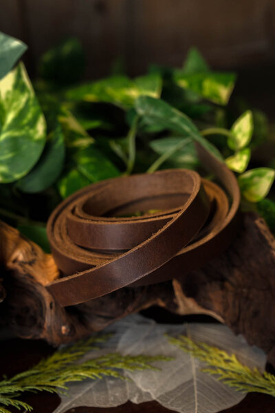 Leren riemband, 30 mm / 180-190 cm bruin - Celtic Webmerchant