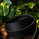 Cinturón de cuero 30 mm / 130-140 cm negro - Celtic Webmerchant