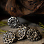 15th century florial belt fittings (set of 5 pieces), silvered bronze - Celtic Webmerchant