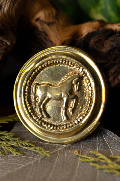 Romeinse phalera paard goudkleurig - Celtic Webmerchant