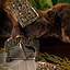 Clip para el cinturón de bronce Gokstad - Celtic Webmerchant