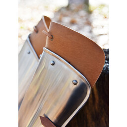 Armure du haut de la jambe Avant - Celtic Webmerchant