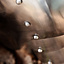 Avant-Oberschenkelschutz - Celtic Webmerchant
