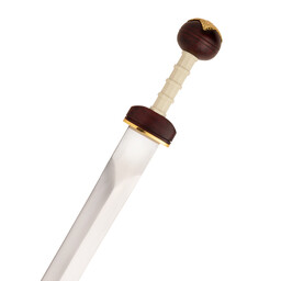 Spiculus gladius - Celtic Webmerchant