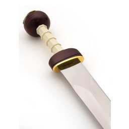Spiculus gladius - Celtic Webmerchant