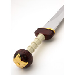 Spiculus gladius - Celtic Webmerchant