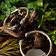 Deepeeka Roman torcs med Lion huvuden, par, silverfärg - Celtic Webmerchant