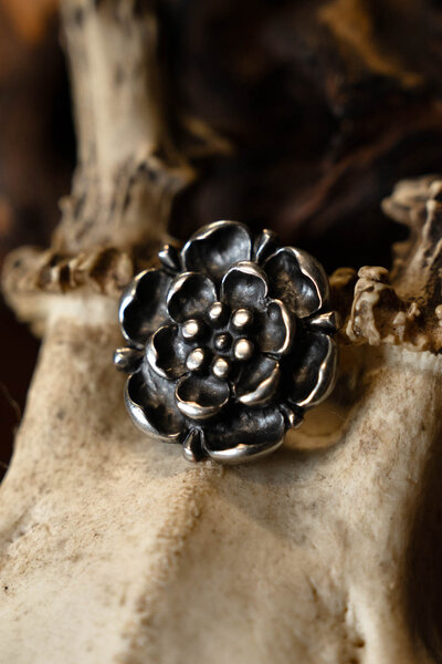 Tudor roos riembeslag (set van 5 stuks), verzilverd brons - Celtic Webmerchant