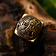 Attachement Birka tombe 15 - Celtic Webmerchant