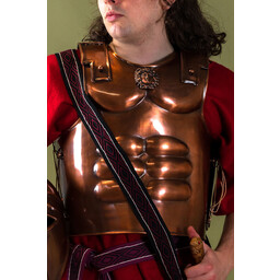 Musculata espartana - Celtic Webmerchant