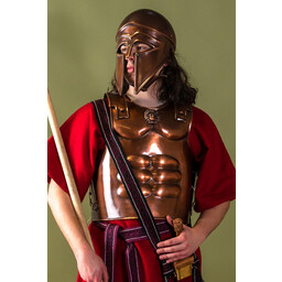 Musculata espartana - Celtic Webmerchant