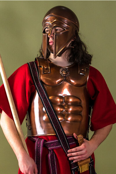 Spartan musculata - Celtic Webmerchant