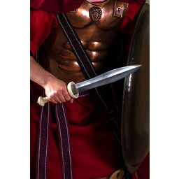 Musculata espartana - Celtic Webmerchant