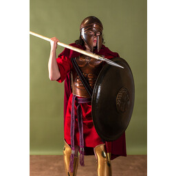 Musculata espartana - Celtic Webmerchant