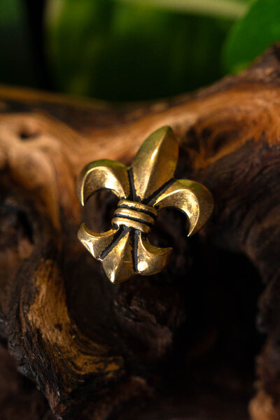 Fleur-de-lys Gürtelbeschläge (Set von 5 Stück), Bronze - Celtic Webmerchant
