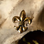 Accessori per cintura con fiordaliso (set di 5 pezzi), bronzo - Celtic Webmerchant