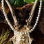 Collar de perlas Anne Boleyn - Celtic Webmerchant