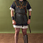 Scheenbeschermers - Celtic Webmerchant