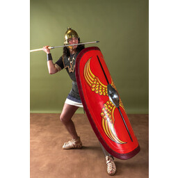 Lorica Hamata mieszane pierścienie 6 mm - Celtic Webmerchant