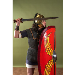 Lorica hamata, gemixt geklonken ringen, 6 mm - Celtic Webmerchant