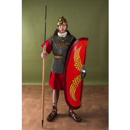 Lorica Hamata, blandede ringe, 6 mm - Celtic Webmerchant