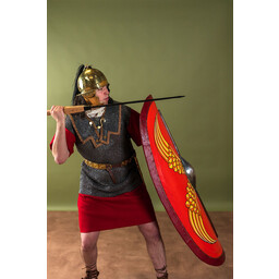 Lorica Hamata, blandede ringe, 6 mm - Celtic Webmerchant