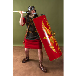 scutum - Celtic Webmerchant