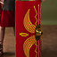 Scutum en bois - Celtic Webmerchant