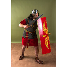 Imperial Gallic galea A, Noviomagus - Celtic Webmerchant
