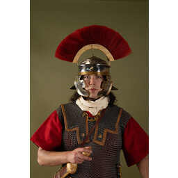 Lorica Hamata, plattnitad ringar, 8 mm - Celtic Webmerchant